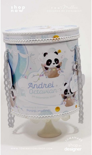 Trusou de botez cu ursuletul Panda ursul polar si baloane de aer cald Panda 4